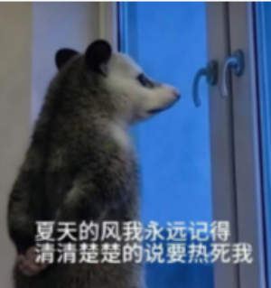 DM_20260806153143_001.png