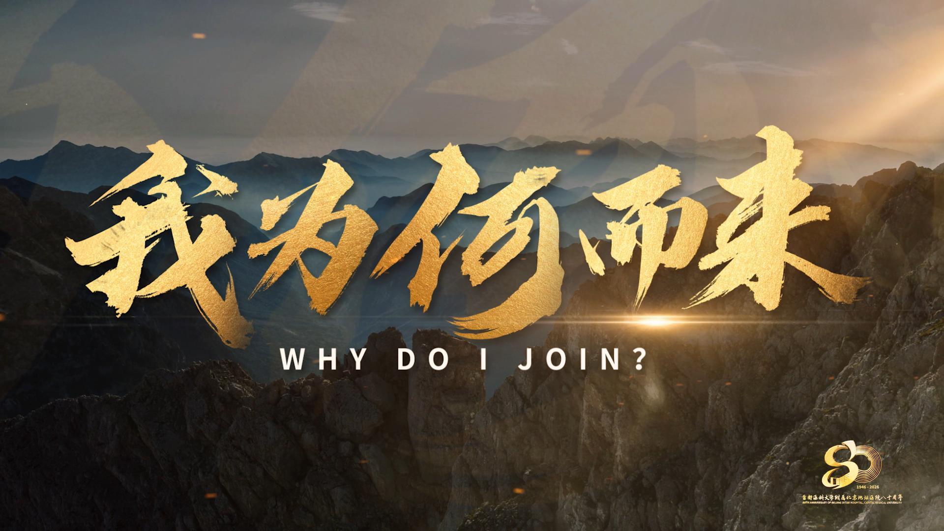 我为何而来